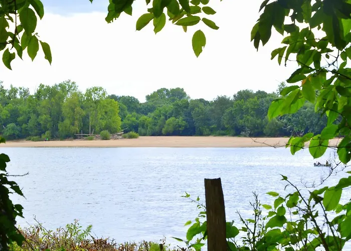 De Montecler * Chenehutte-Treves-Cunault